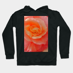 Rose close up Hoodie